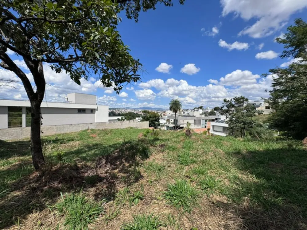 Terreno, 564 m² - Foto 4