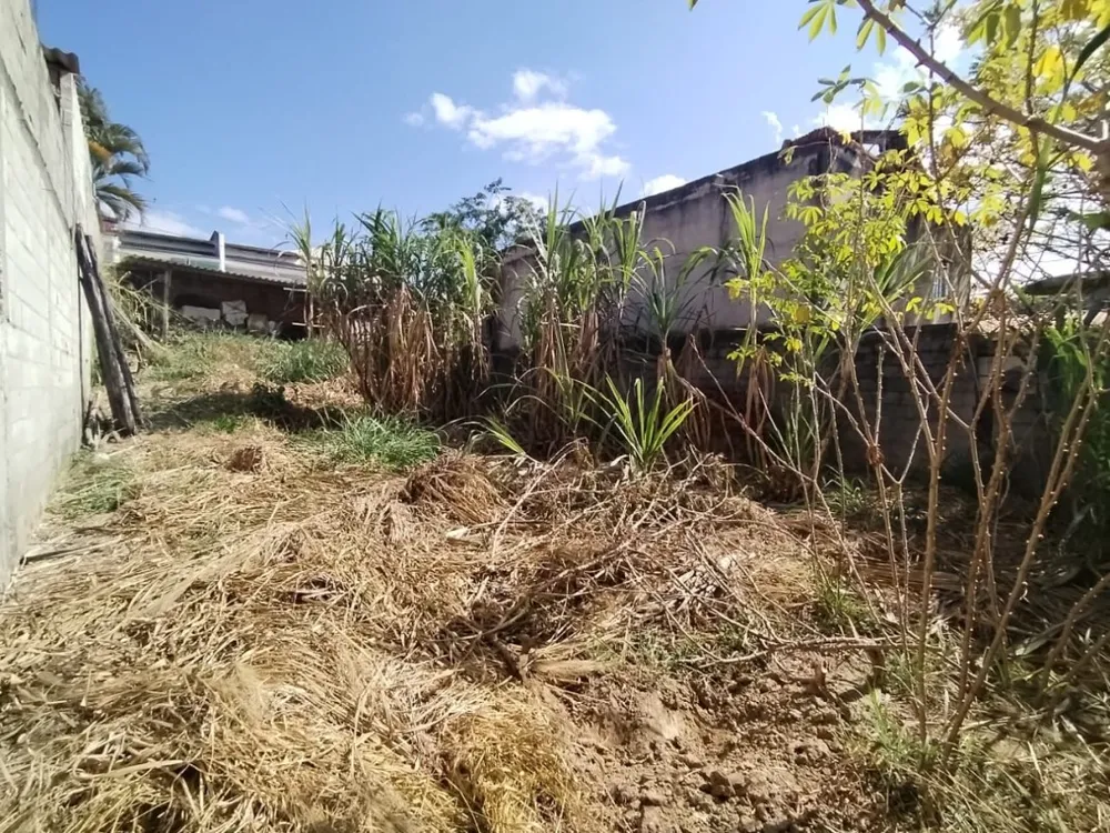 Terreno, 250 m² - Foto 3