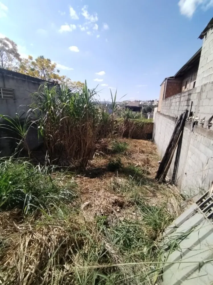 Terreno, 250 m² - Foto 5