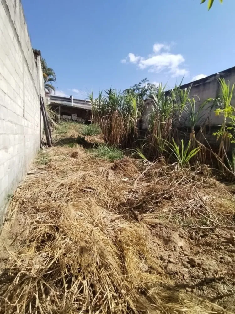 Terreno, 250 m² - Foto 7