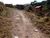 Terreno, 140000 m² - Foto 1