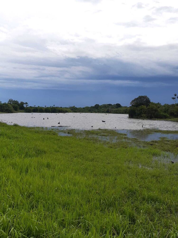 Fazenda à venda com 1 quarto, 158000m² - Foto 8