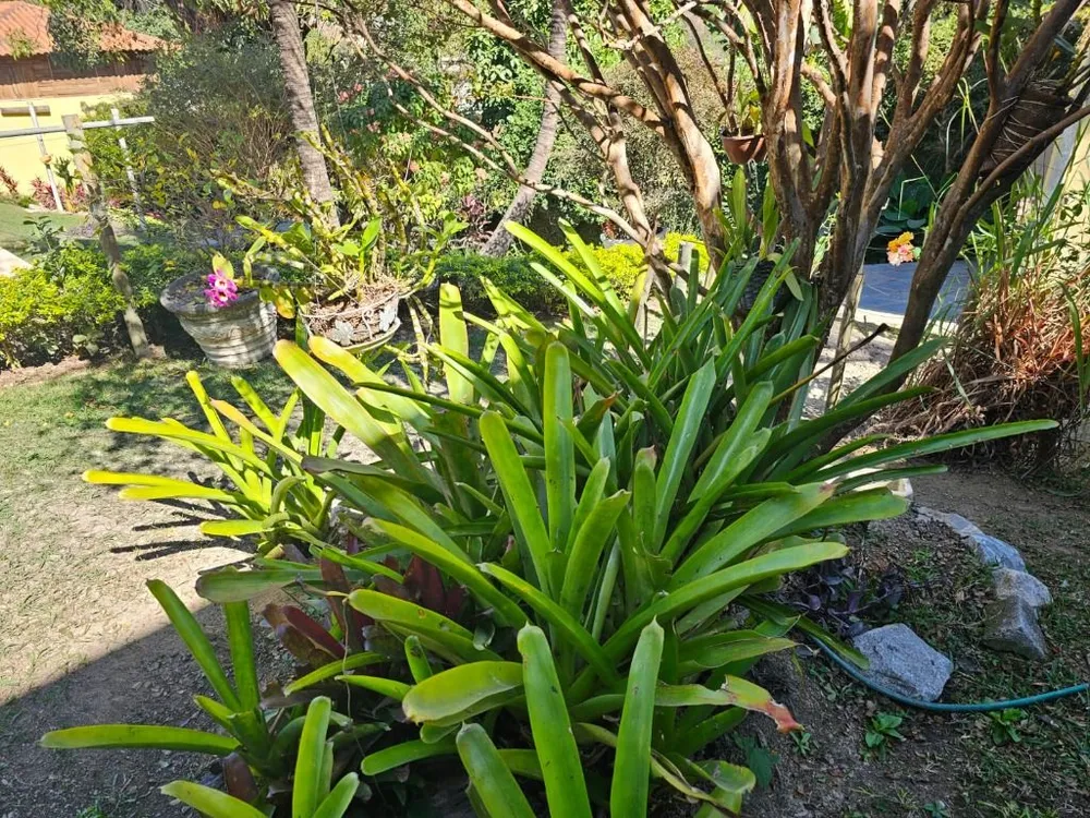 Casa, 1 quarto, 630 m² - Foto 15