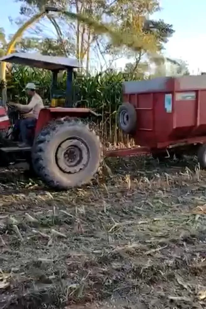 Fazenda, 247 hectares - Foto 15