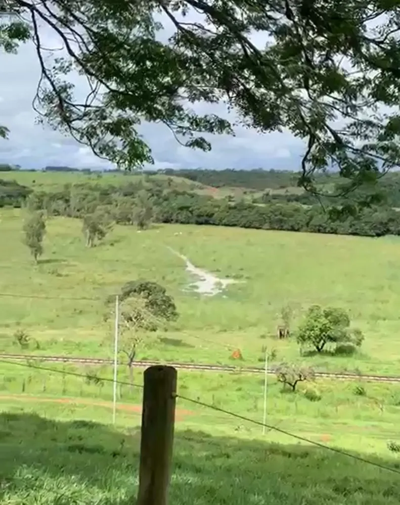 Fazenda, 247 hectares - Foto 12
