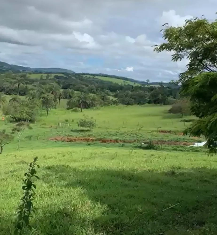 Fazenda, 247 hectares - Foto 10