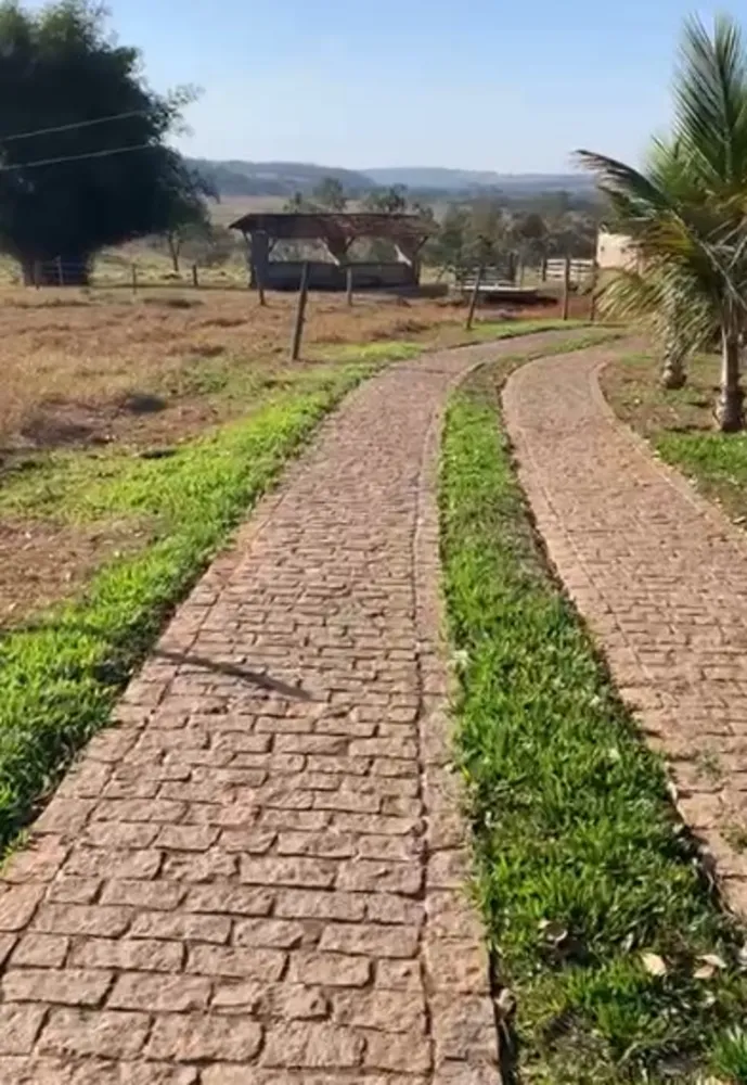 Fazenda, 247 hectares - Foto 2