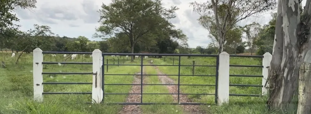 Fazenda, 247 hectares - Foto 4