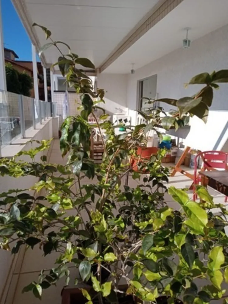 Cobertura, 4 quartos, 160 m² - Foto 10