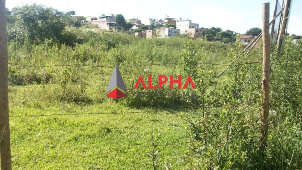 Terreno, 46000 m² - Foto 4