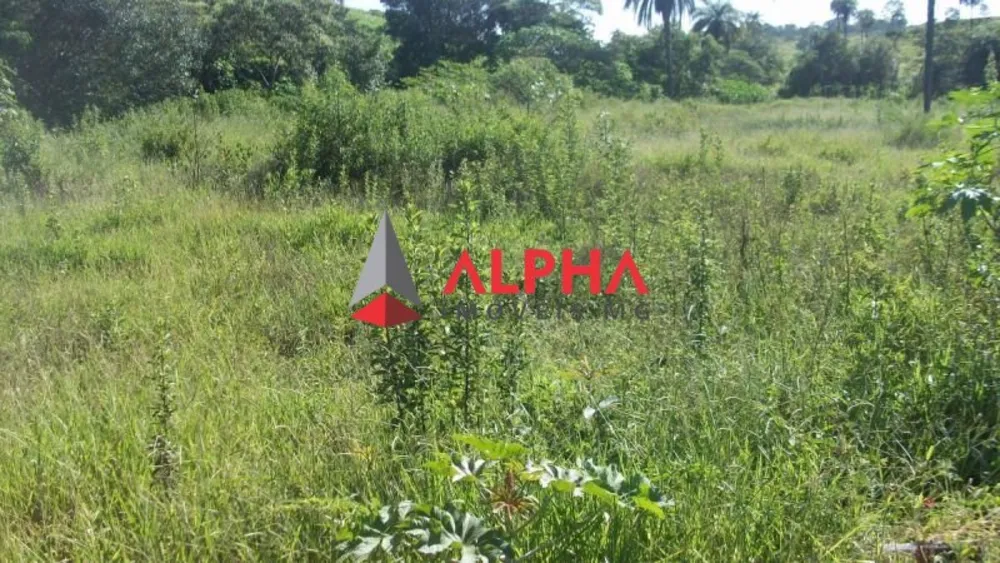 Terreno, 46000 m² - Foto 1