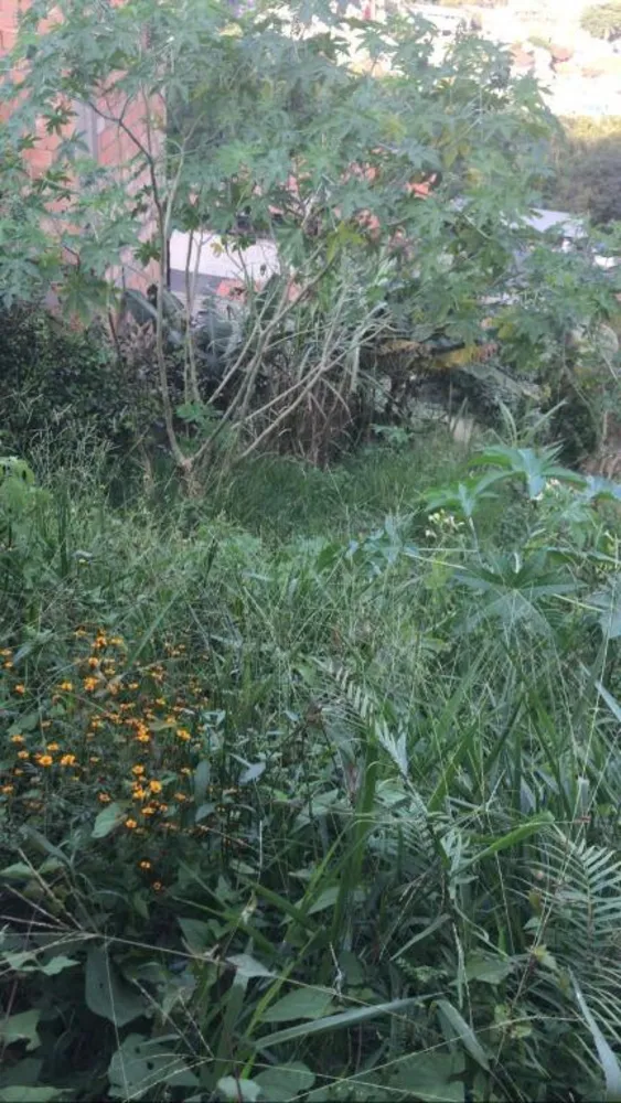 Terreno, 330 m² - Foto 6