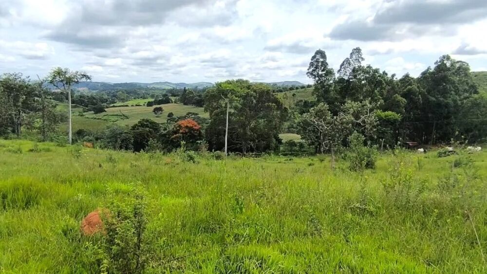 Fazenda à venda com 1 quarto, 1161200m² - Foto 5