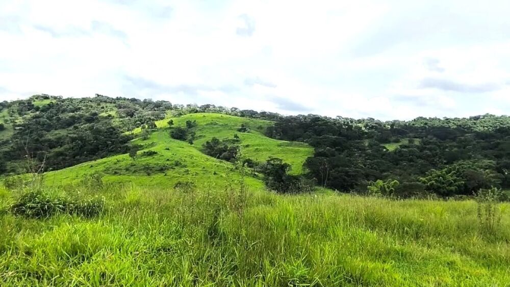 Fazenda à venda com 1 quarto, 1161200m² - Foto 2