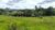 Fazenda, 116 hectares - Foto 5