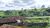 Fazenda, 116 hectares - Foto 10