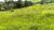 Fazenda, 116 hectares - Foto 1