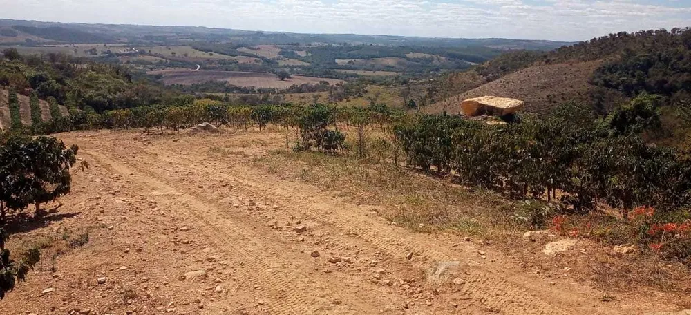 Fazenda, 126 hectares - Foto 7