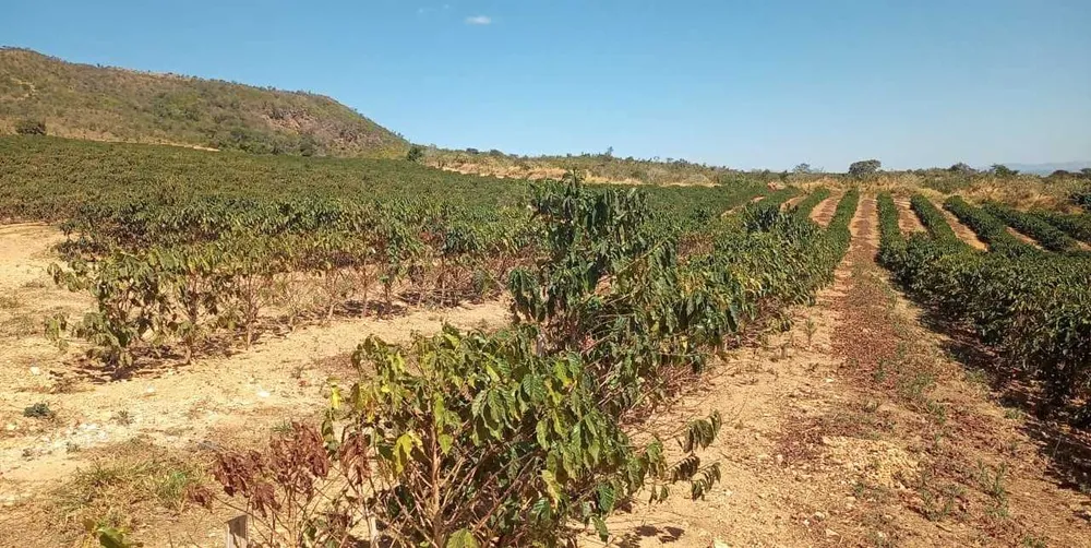 Fazenda, 126 hectares - Foto 3