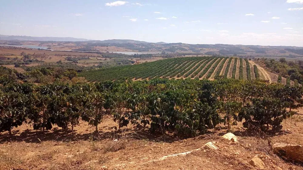 Fazenda, 126 hectares - Foto 6