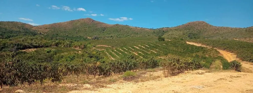 Fazenda, 126 hectares - Foto 12