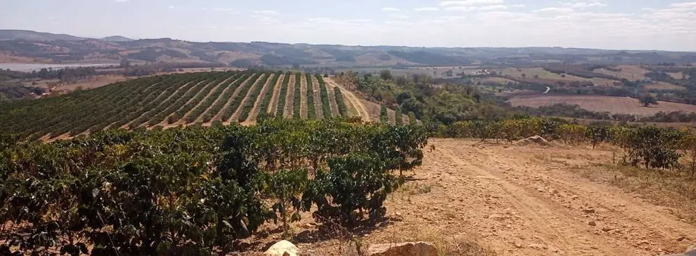 Fazenda, 126 hectares - Foto 2