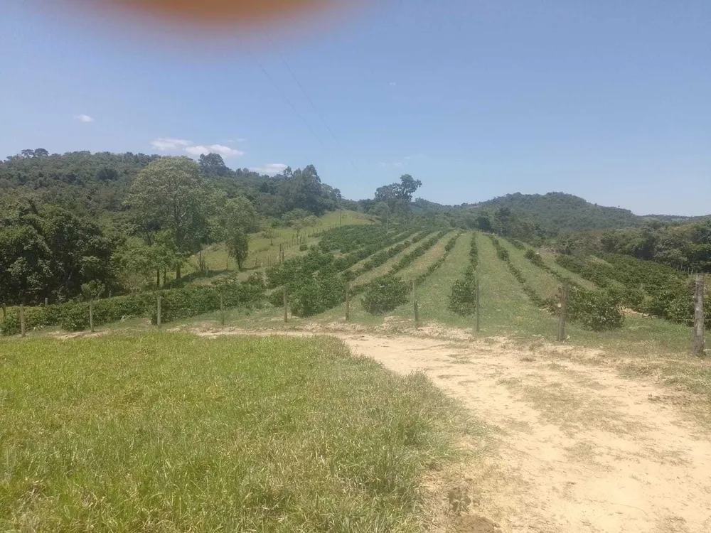 Fazenda, 1 quarto - Foto 10