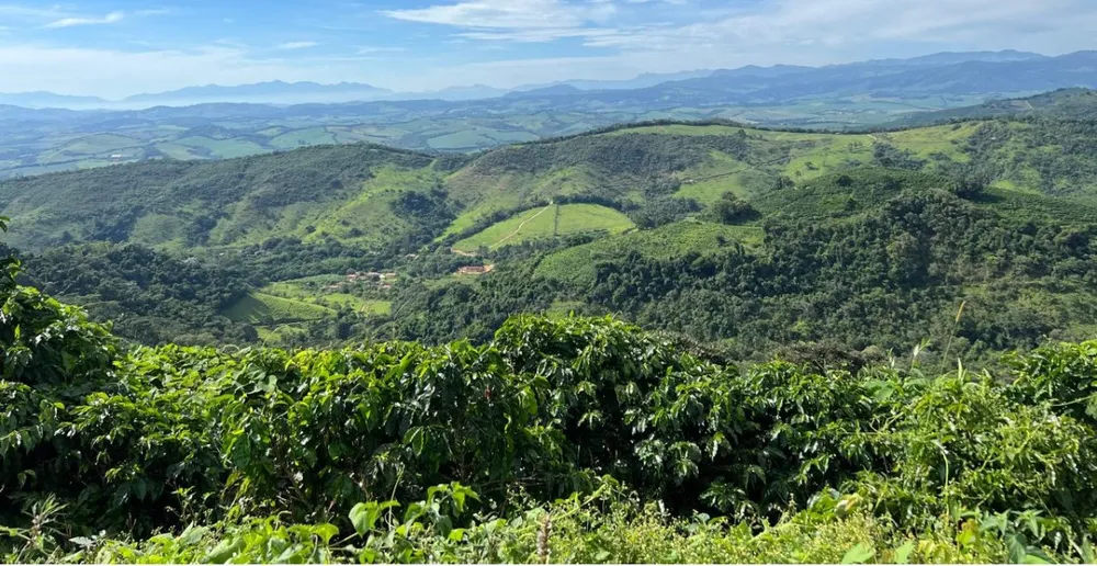 Fazenda, 1 quarto - Foto 5