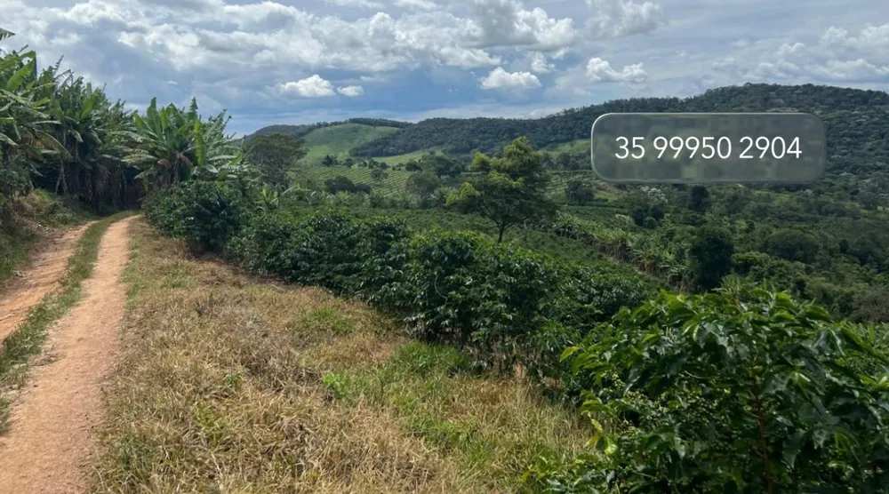 Fazenda, 1 quarto - Foto 3