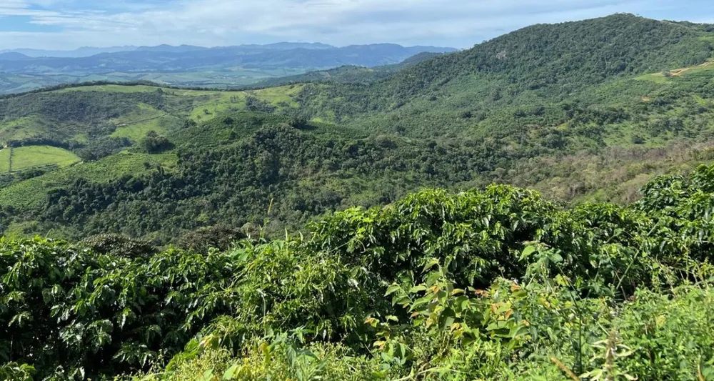 Fazenda, 1 quarto - Foto 4