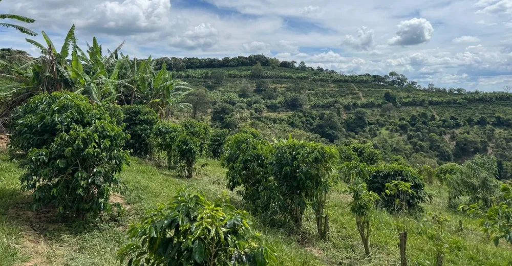 Fazenda, 1 quarto - Foto 6