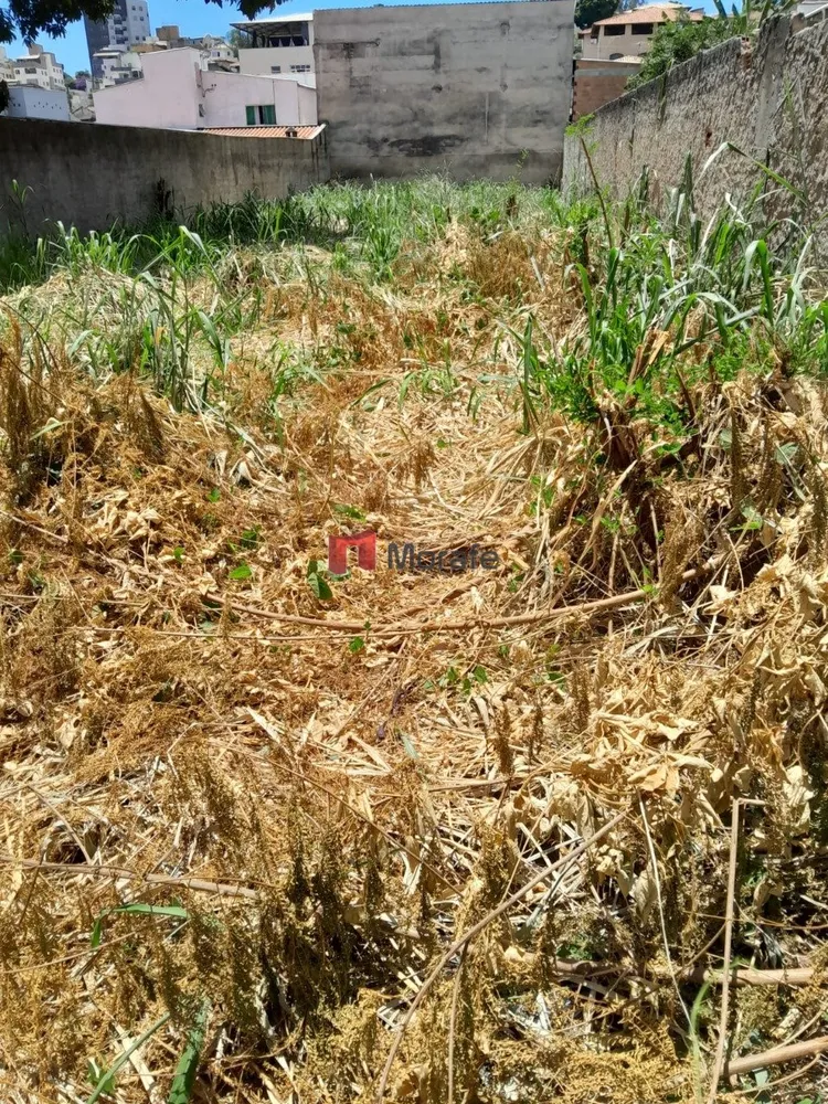 Terreno, 600 m² - Foto 3