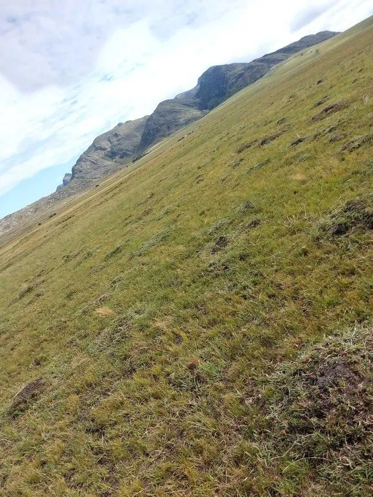 Fazenda, 300 hectares - Foto 8