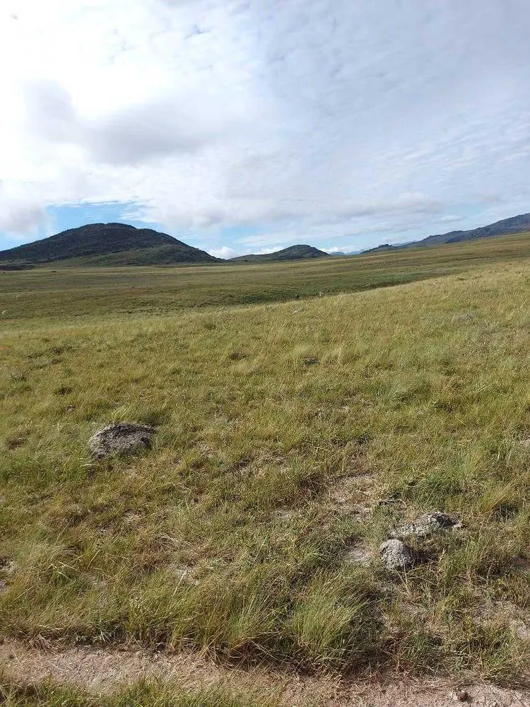 Fazenda, 300 hectares - Foto 16