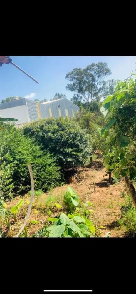Terreno, 2000 m² - Foto 7