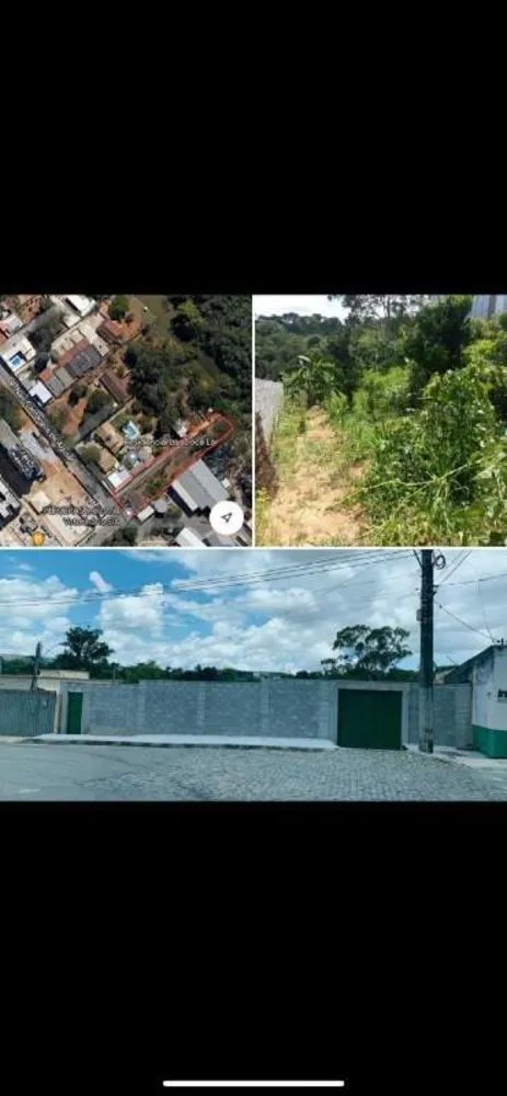 Terreno, 2000 m² - Foto 4