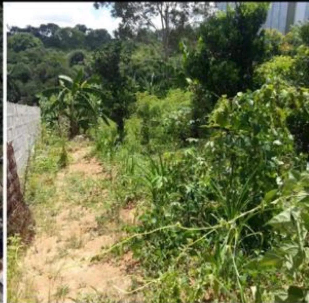 Terreno, 2000 m² - Foto 6