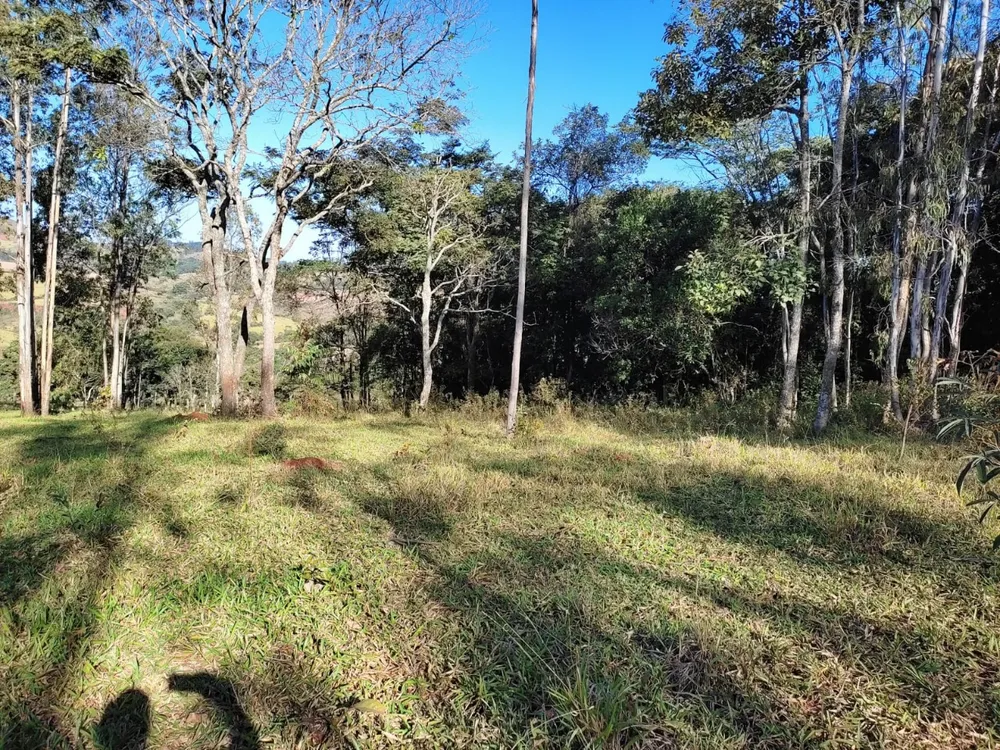 Terreno, 350000 m² - Foto 7
