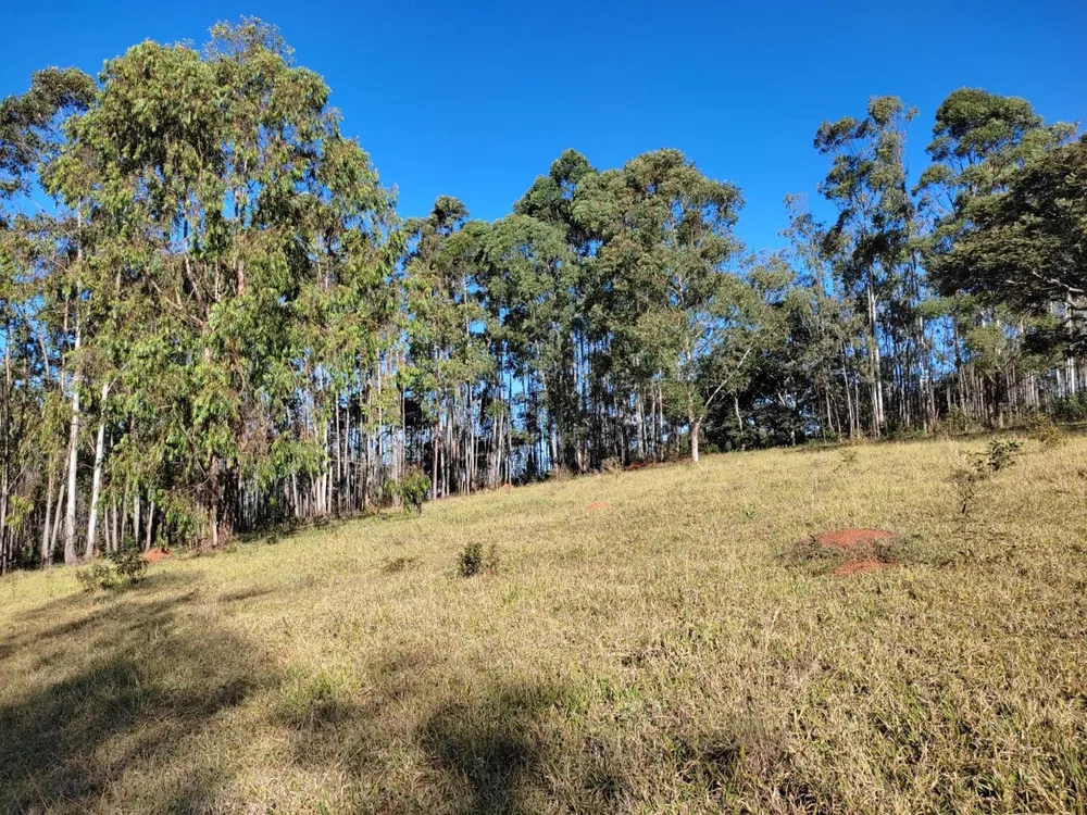 Terreno, 350000 m² - Foto 8