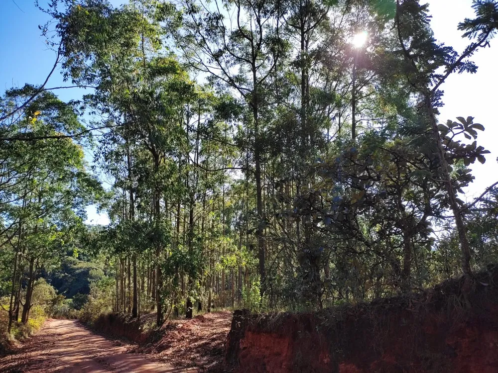 Terreno, 350000 m² - Foto 12