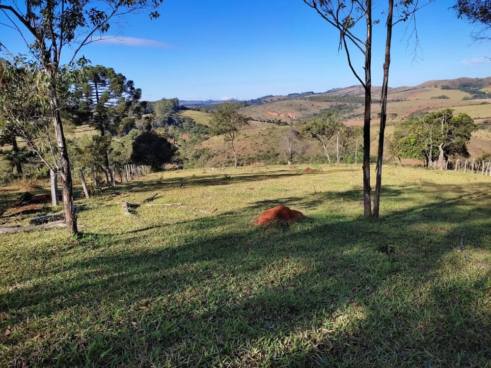 Terreno, 350000 m² - Foto 5