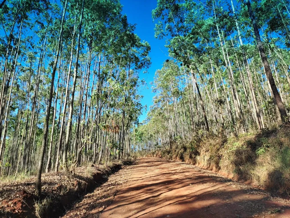 Terreno, 350000 m² - Foto 10