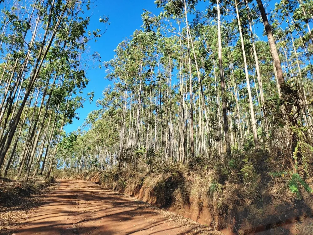 Terreno, 350000 m² - Foto 11