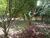 Terreno, 350 m² - Foto 4