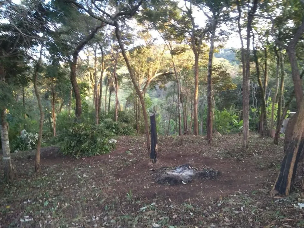 Terreno, 2000 m² - Foto 7