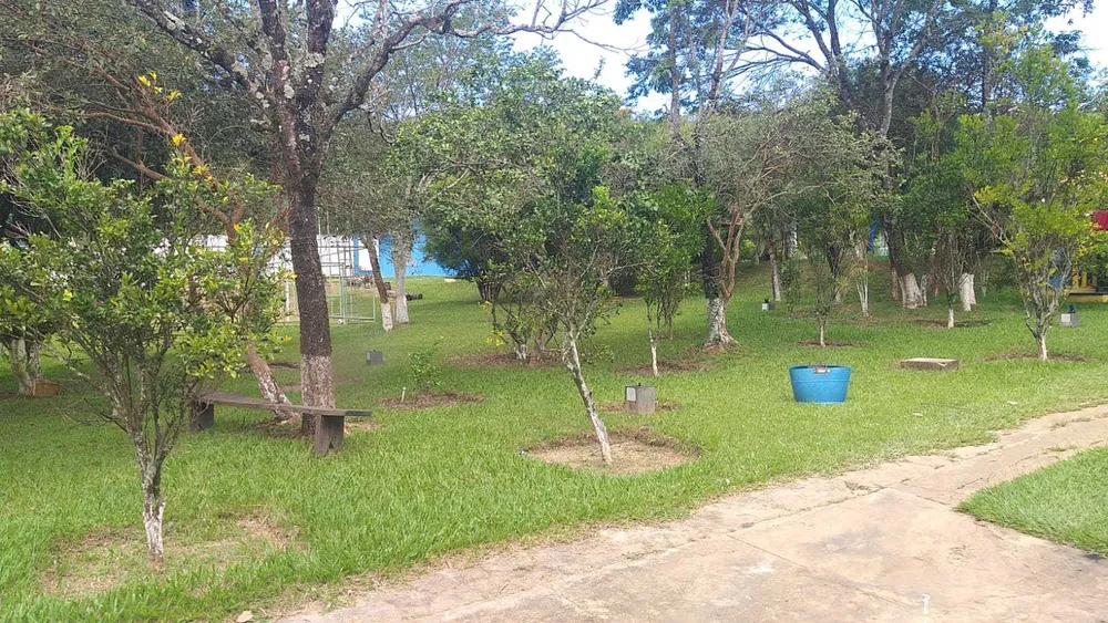 Casa, 10 quartos, 1000 m² - Foto 6