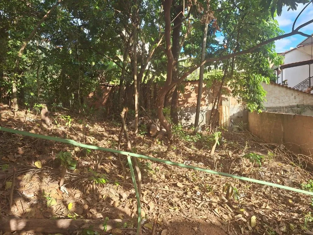 Chácara, 6 quartos - Foto 8