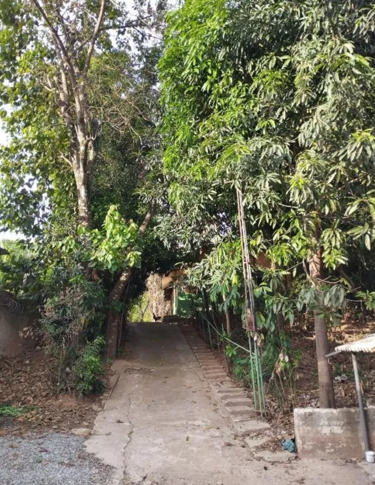Chácara, 6 quartos - Foto 6