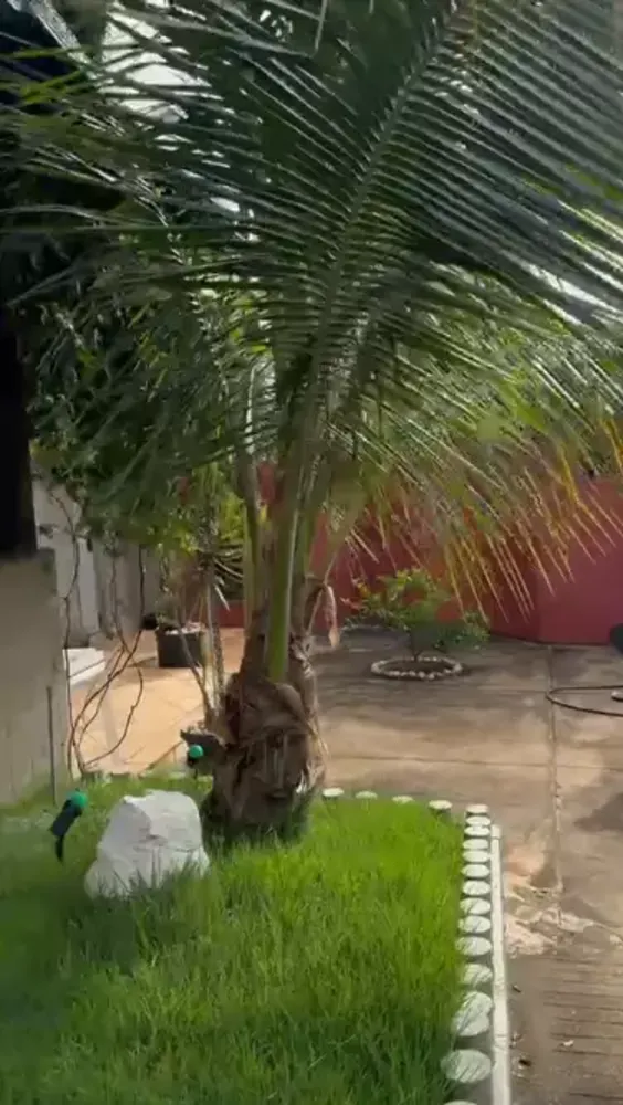 Casa, 4 quartos, 400 m² - Foto 20