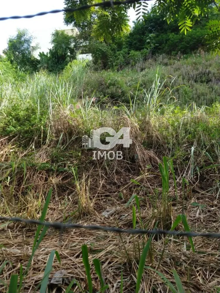 Terreno, 900 m² - Foto 9